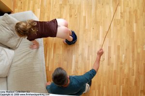 Firm Hand Spanking - 03.12.2008 - Bare Bottom Caning - image 2