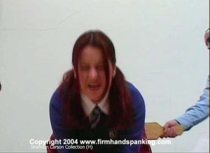 Firm Hand Spanking - 06.02.2004 - Bare Bottom Paddling - image 18