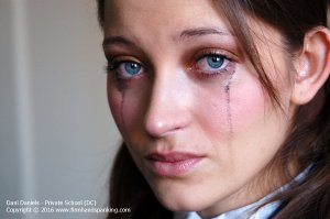 Firm Hand Spanking - Private School - Dc - image 18
