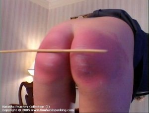 Firm Hand Spanking - Double-six Caning - image 9