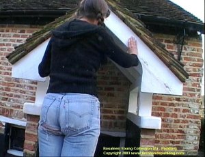 Firm Hand Spanking - 27.03.2003 - Board On Tight Jeans - image 12