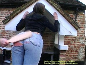 Firm Hand Spanking - 27.03.2003 - Board On Tight Jeans - image 7